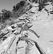 Looking Up The Hermit's Rest Trail Bw Art Print