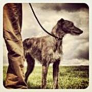 #lurcher #dog #dogs #dogsofinstagram Art Print