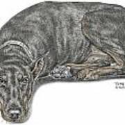 Lying Low - Doberman Pinscher Dog Print Color Tinted Art Print