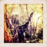 Magical Forest - Come Faerie! Come Art Print