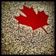 Maple Leaf Art Print