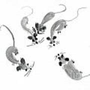 Mice - Sumie Style Art Print