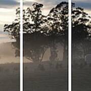 Misty Morning Triptych Art Print