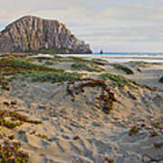 Morro Rock Art Print