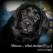 Mouse---what Mouse Art Print