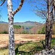 Mt. Chocorua Spring Horizontal Art Print