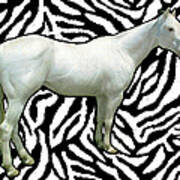 Naked Zebra 1 Art Print