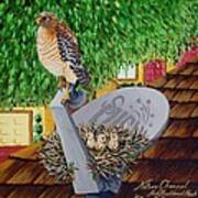 Nature Channel- Red Shouldered Hawk Art Print