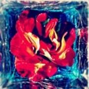 Natures Attack#rose #flower #art Art Print