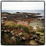 Near Prawle Point #iphoneography Art Print