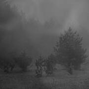 Nebelbild 12 - Fog Image 12 Art Print