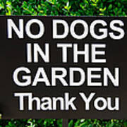 No Dogs In The Garden Thank You Art Print