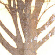Once Upon A Tree Art Print