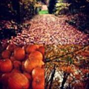 Orange #fall #halloween Art Print