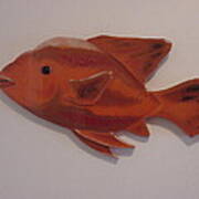 Orange Fish Art Print