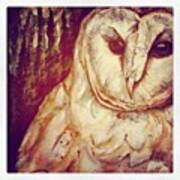 Owl In Woods: Mixed Media On Canvas Art Print
