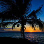 Palm Sunset Art Print