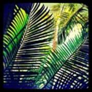 Palms On A Sunny Day #palmtree Art Print