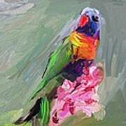 Parrot Art Print