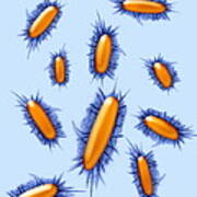 Prevotella Dentalis Bacteria Art Print