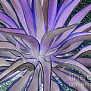 Purple Aloe Art Print