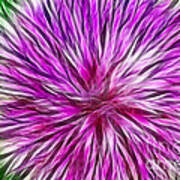 Purple Flower Fractal Art Print