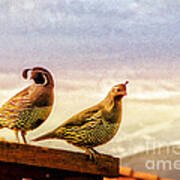 Quail And His Lady Art Print