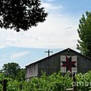 Quilted Barn And Vineyard Art Print