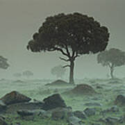 Rain Storm On The Serengeti Plains Kenya Art Print