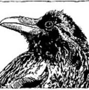 Raven Calculations Art Print