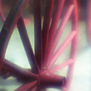 Red Wagon Wheel Art Print