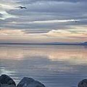 Salton Sea Sunset Art Print