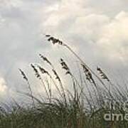 Sea Oats Art Print