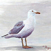 Seagull Art Print