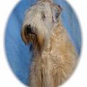 Sealyham Terrier 670 Art Print