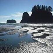 Seastacks At Second Beach La Push Art Print