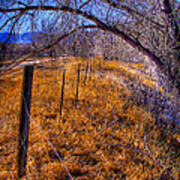 South Platte Fenceline Art Print