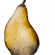 Speckled Pear Art Print