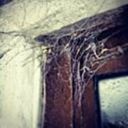 #spider #web #spiders #cobwebs #old Art Print