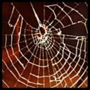 #spider #web #spiderweb Art Print