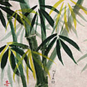 Splendid Bamboo Art Print