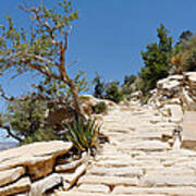 Steps On The Hermit's Rest Trail Ii Art Print