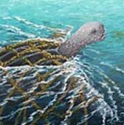 Struggle -leatherback Sea Turtle Art Print
