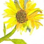 Sun Flower Art Print