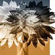 Sunflower Abstract Art Print