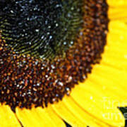 Sunflower Glitter Art Print