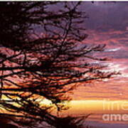 Sunrise In Isla Vista Art Print