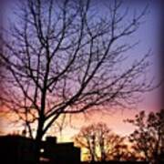 #sunset #pdx #dusk #trees #treebranches Art Print