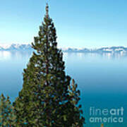 Tahoe Tranquility Art Print