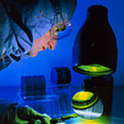 Technician Inspecting Silicon Wafers Art Print